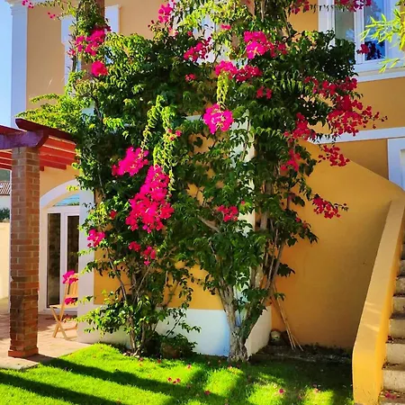 Spacious With Seaview In Βίλα
