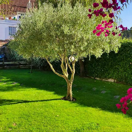 Spacious With Seaview In Foz do Arelho